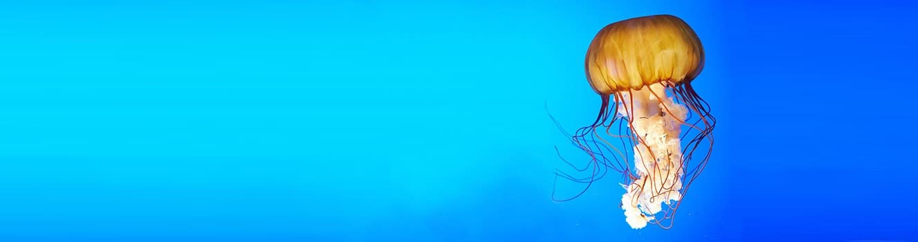 Good Manufacturing Practices in API Production: How to Implement ICHQ7