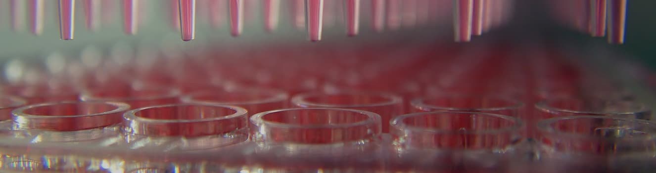 Development and Validation of Bioassays