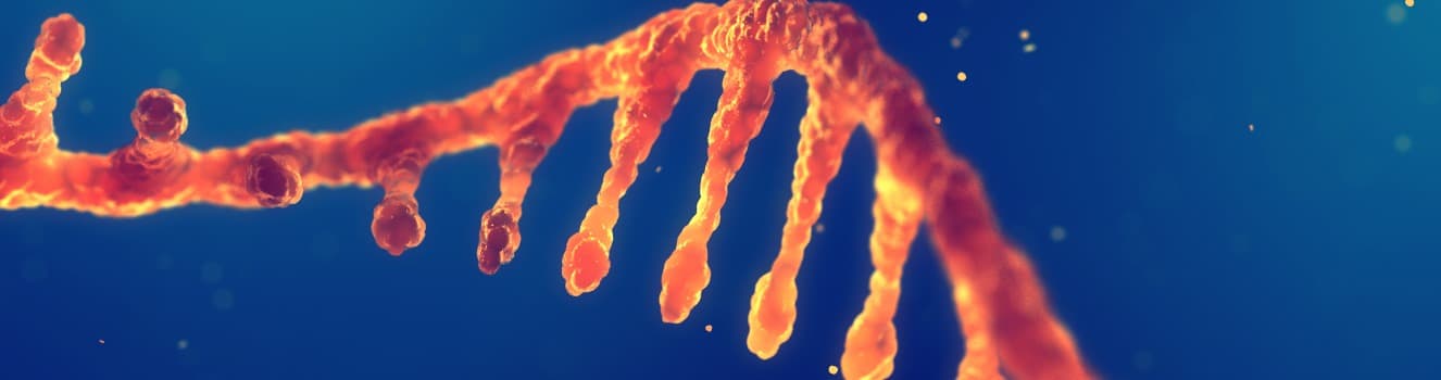 CMC/Regulatory Affairs for Nucleic Acids