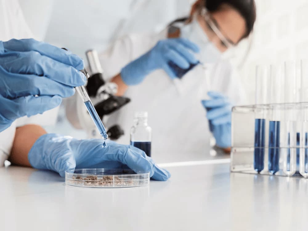 What is the Difference between GLP and GMP