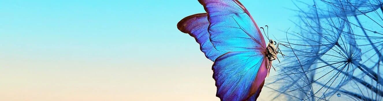 CMC and Regulatory Requirements for Inhalation Drug Products