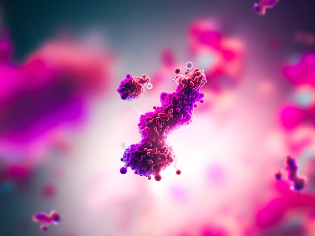 Navigating CMC Challenges in Antibody-Drug Conjugates